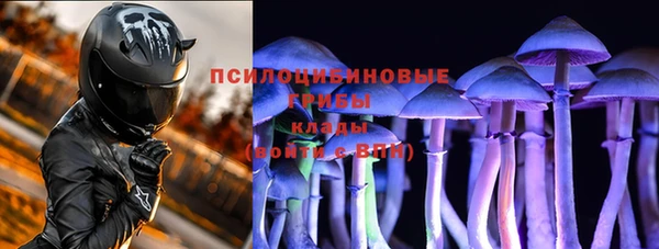 ALPHA PVP Надым