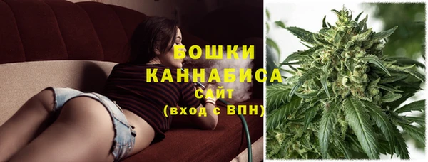 гидра Наволоки
