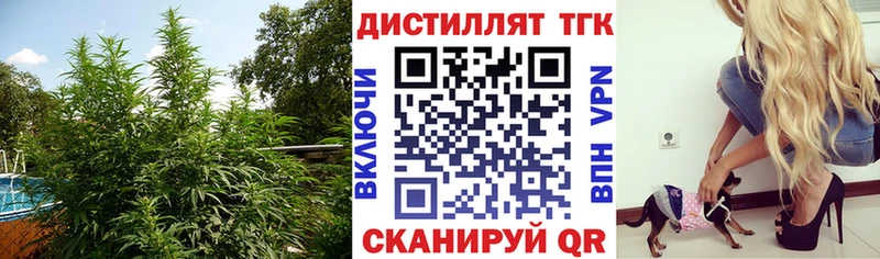kraken зеркало  Пойковский  ТГК жижа 